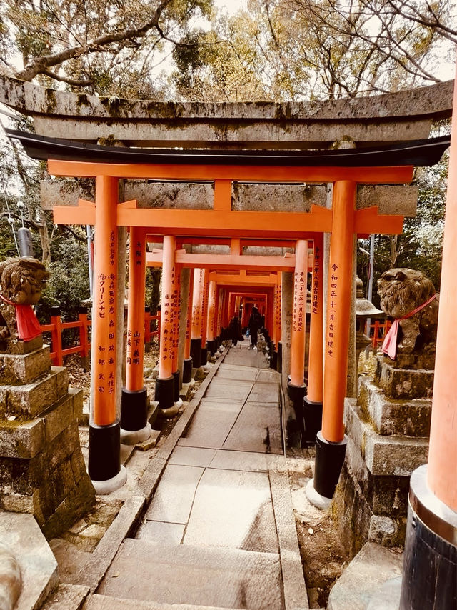 ⛩️✨ Fushimi Inari Taisha: Kyoto’s Iconic Thousand Torii Gates