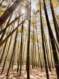 ⛩️✨ Fushimi Inari Taisha: Kyoto’s Iconic Thousand Torii Gates