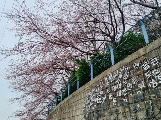 色彩豊かなアートの街、甘川文化村