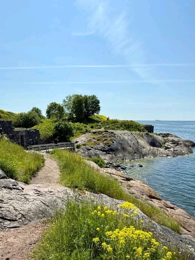 🚢❄️ Finland Cruise Adventure – Sail into the Nordic Dream! 🇫🇮🌌