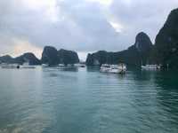 🚢 1-Night Ha Long Bay Cruise: A Journey Through Vietnam’s Dreamscape 🌅🇻🇳