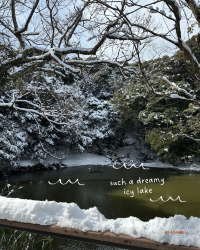 [Japan 🇯🇵] Better than Hokkaido, Yonago's Charming Winter View