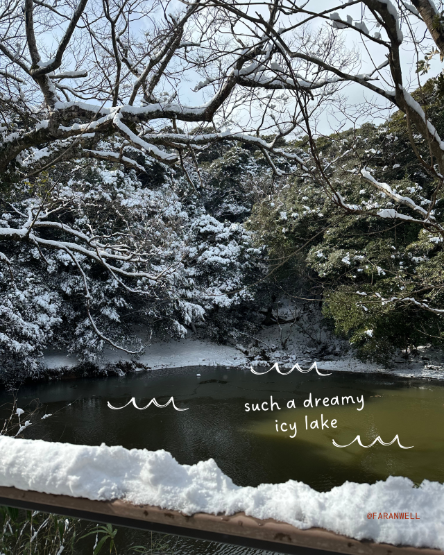 [Japan 🇯🇵] Better than Hokkaido, Yonago's Charming Winter View