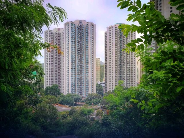 香港西貢清水灣牛尾海，邂逅絕美山海🌄