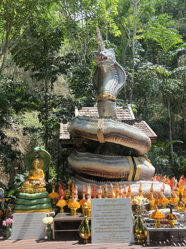 รีวิว “ม่อนกุเวร – อุทยานมหาราชท้าวเวสสุวรรณ