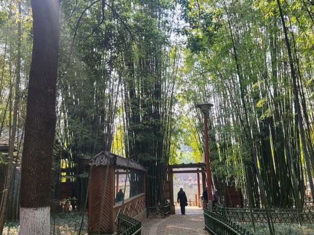 Lovely Cuihu Park in Kunming