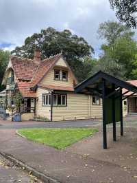 Cornwall Park｜城市裡的綠野仙蹤 