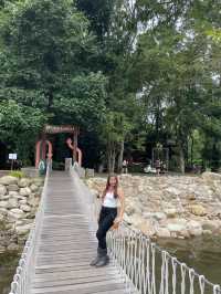 Montra Cafe ไร่วังบอน คาเฟ่ลับกลางป่า ฟีลดี 