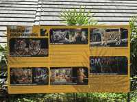 Tiger kingdom in phuket