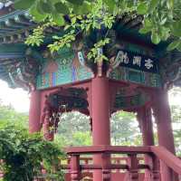 Summer Serenity at Yong Yeonjeong Garden