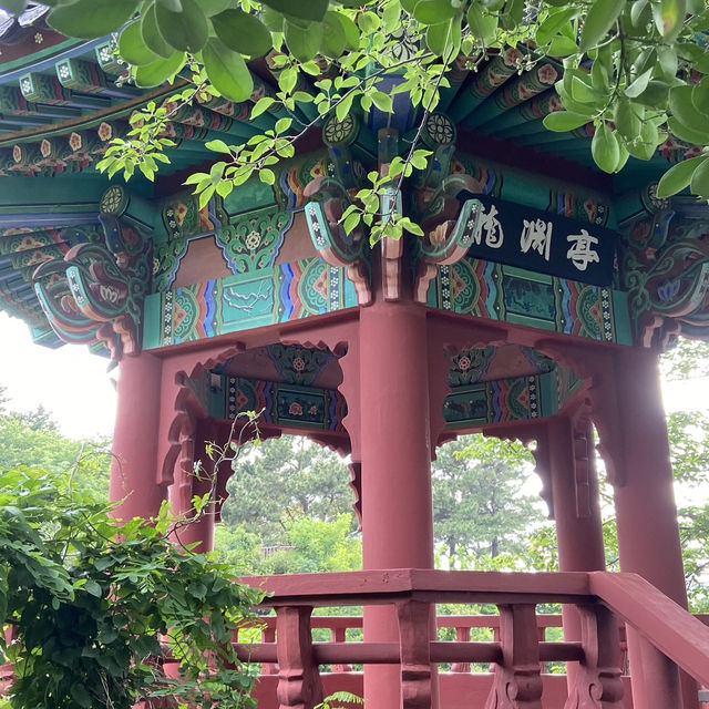 Summer Serenity at Yong Yeonjeong Garden