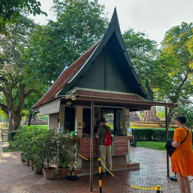 มรดกโลก🌟 แห่งอยุธยา วัดมหาธาตุ