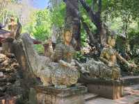 วัดผาลาดเป็น “วัดลับกลางป่า”  เชียงใหม่