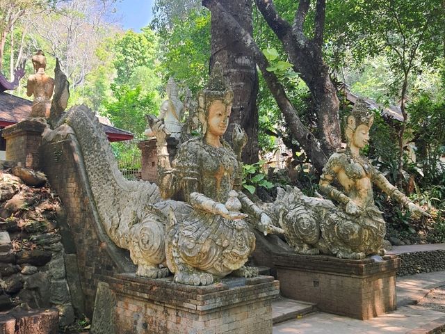 วัดผาลาดเป็น “วัดลับกลางป่า”  เชียงใหม่