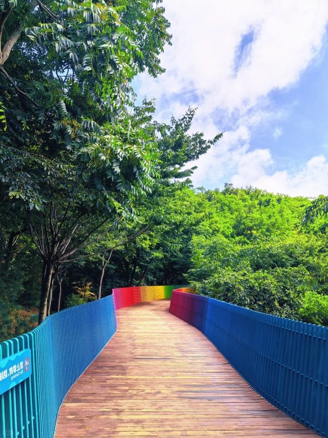 ～西埔公園～繁花織就～