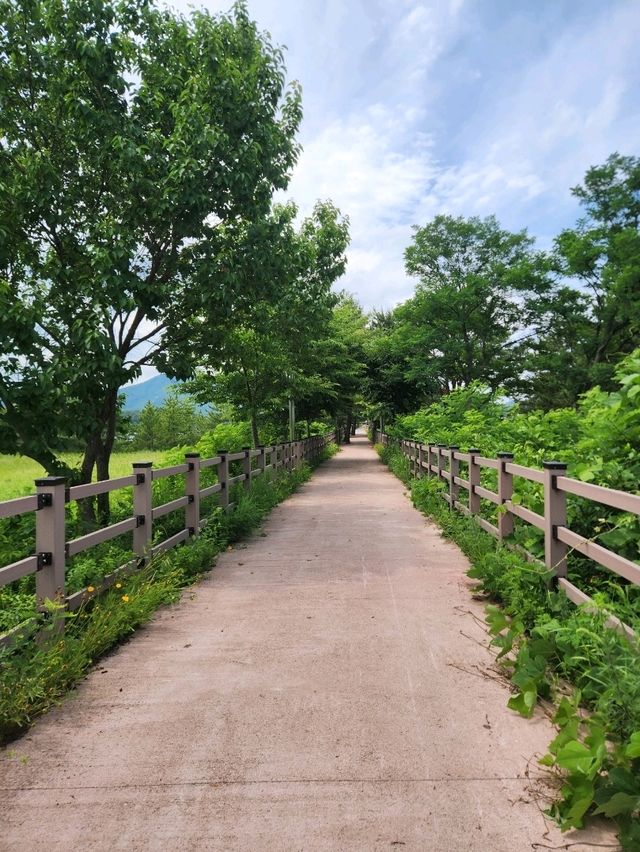 🚴‍♂️강원도 고성여행, 자연 속 자전거 한 바퀴 "송지호 둘레길 자전거대여소"🚴‍♀️