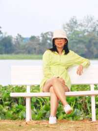 Move to Mountain Garden Cafe