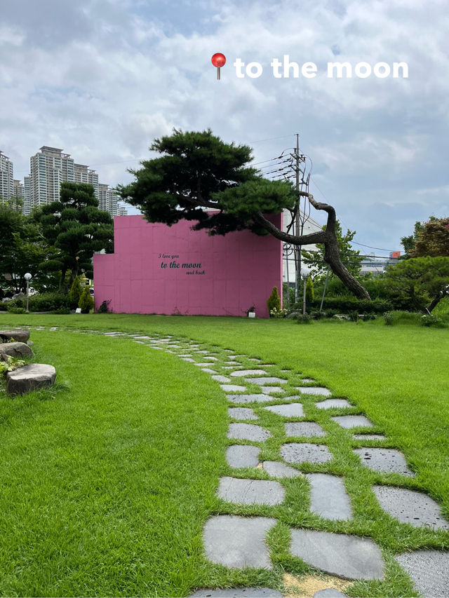 東京から往復1.5万円!? エアロkで行く清州！🇰🇷