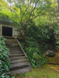 ⛩️綠色名古屋大佛【桃巖寺-下篇】