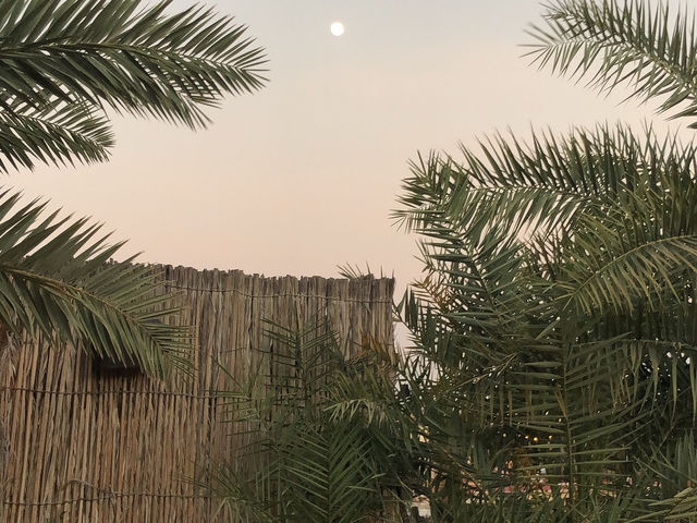 🐫 두바이 사막에서 만나는 황금빛 노을 & 아라비안 어드벤처 🌅