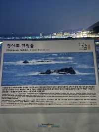 부산여행 부산신상플레이스 소개해드릴게요🤍 24년도 확장한 신상 플레이스 ! 