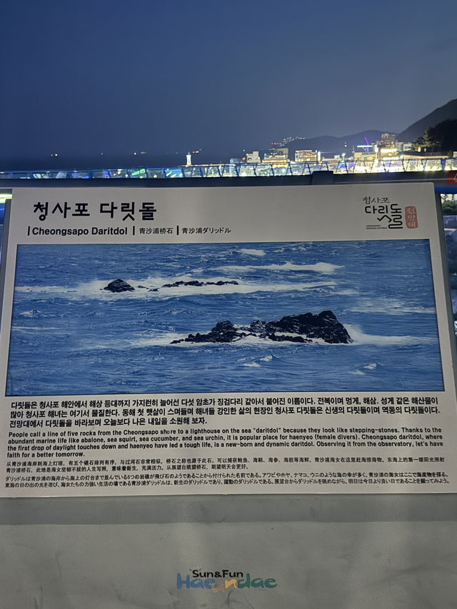 부산여행 부산신상플레이스 소개해드릴게요🤍 24년도 확장한 신상 플레이스 ! 