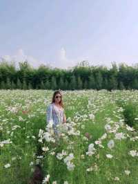 สวนดอกไม้ บ้านไร่นายรุ่ง กาญจนบุรี