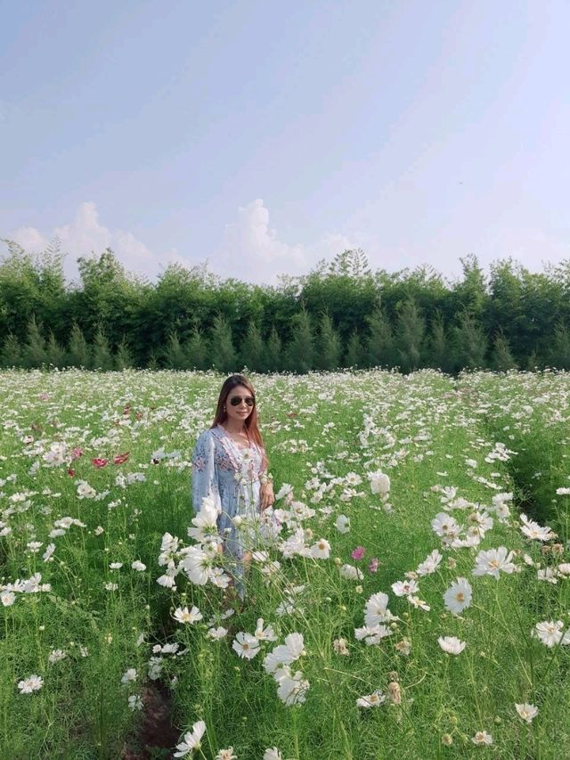 สวนดอกไม้ บ้านไร่นายรุ่ง กาญจนบุรี
