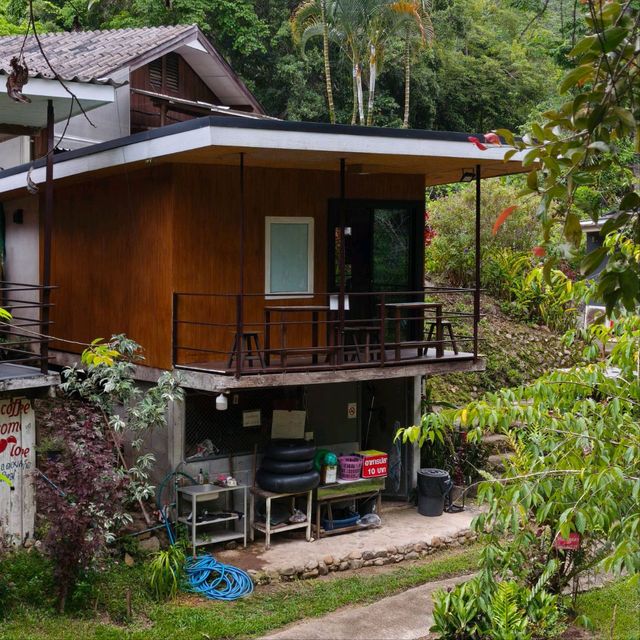 🌿 ปางไฮคอฟฟี่ช็อป (PangHai Coffee Shop) 🌿
