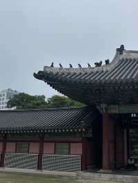 📍서울 가볼만한 곳 추천_북촌