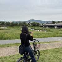 ปั่นจักรยานเลียบแม่น้ำ Kamo ,Kyoto