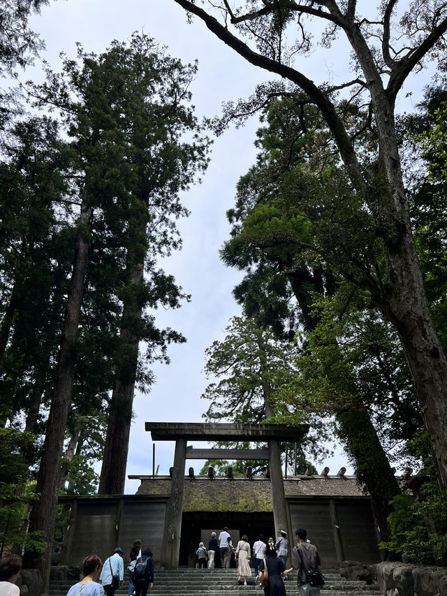 伊勢神宮｜走進神明的森林，與自然對話的靜心之旅🌿⛩️