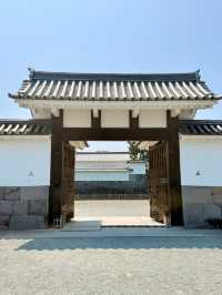 Discover the Magic of Hotoku Ninomiya Shrine: A Summer Adventure in Japan!