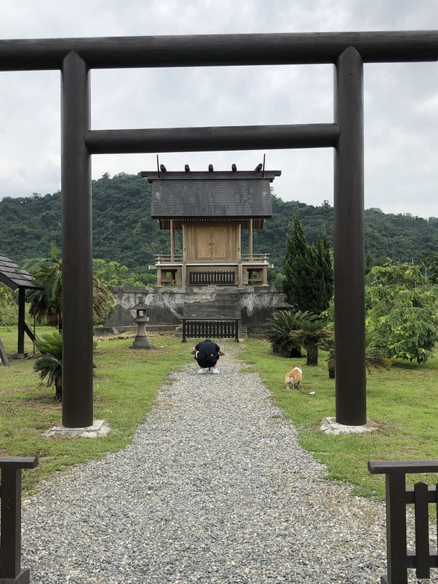 台東遇見日本—🦌 鹿野神社｜藏在台東小鎮裡的靜謐日式記憶 
