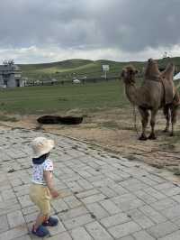 Bayangol luxury resort&hotel