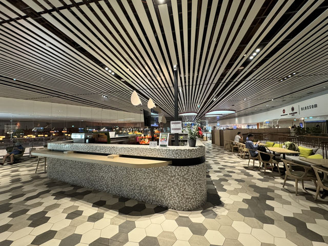 🛫 A Relaxing Pre-Flight Oasis – Blossom Lounge at Changi T4