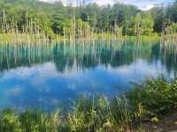 北海道の美しい景観
