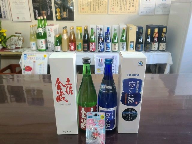 Kochi Kuroshio Hotel(고치 쿠로시오 호텔) 디럭스 싱글룸(