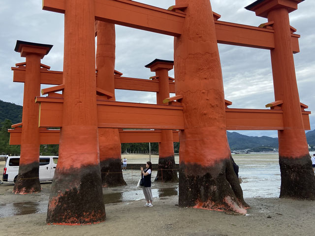 【広島】厳島神社の足元が奇跡的に見れた日