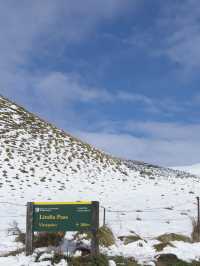 紐西蘭南島｜Lindis Pass｜經典山口風景線，遼闊公路上的靜謐震撼 ❄️🛣️