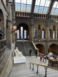 아이와 함께 가기 좋은 박물관 1위 – Natural History Museum