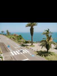 【宮崎】南国絶景を満喫🌴日南海岸ドライブで癒しの旅🚗