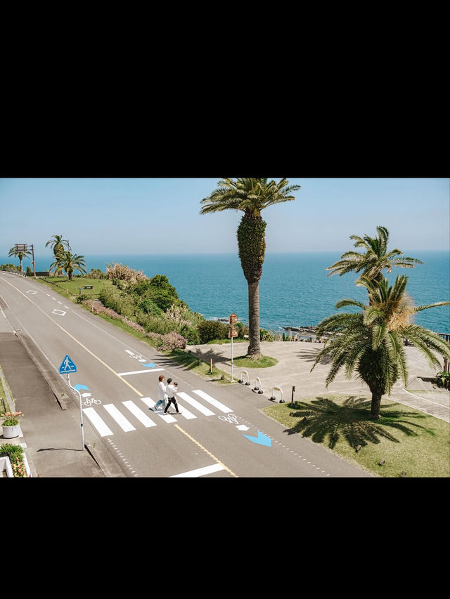 【宮崎】南国絶景を満喫🌴日南海岸ドライブで癒しの旅🚗