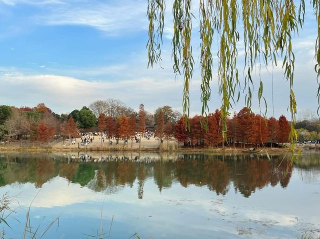 南京必遊景點 明孝陵園區