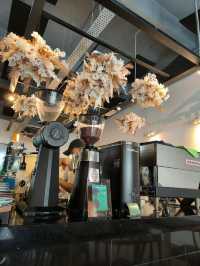 Chill Café Stop with Great Food in Desaru