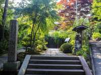 【神奈川県】 美しい鎌倉の奥座敷 花と水のお寺『海蔵寺』