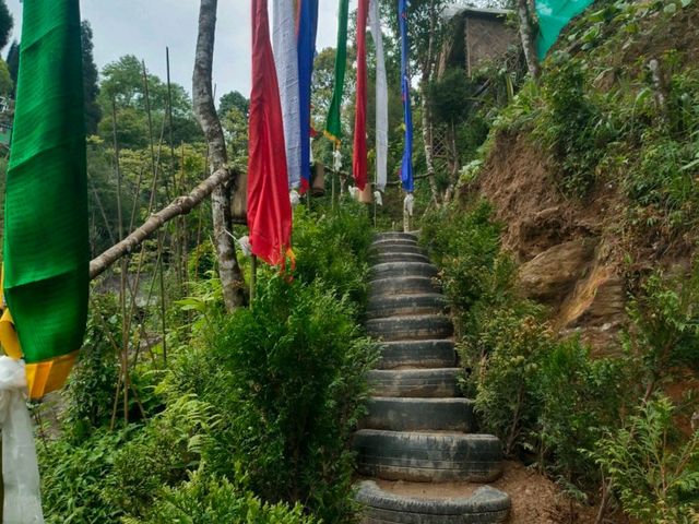 Agro tourism in kurseong hills. 