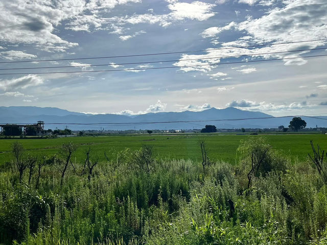 🌻✨ Xizhou Fields: A Day of Unexpected Beauty and Breezy Rides