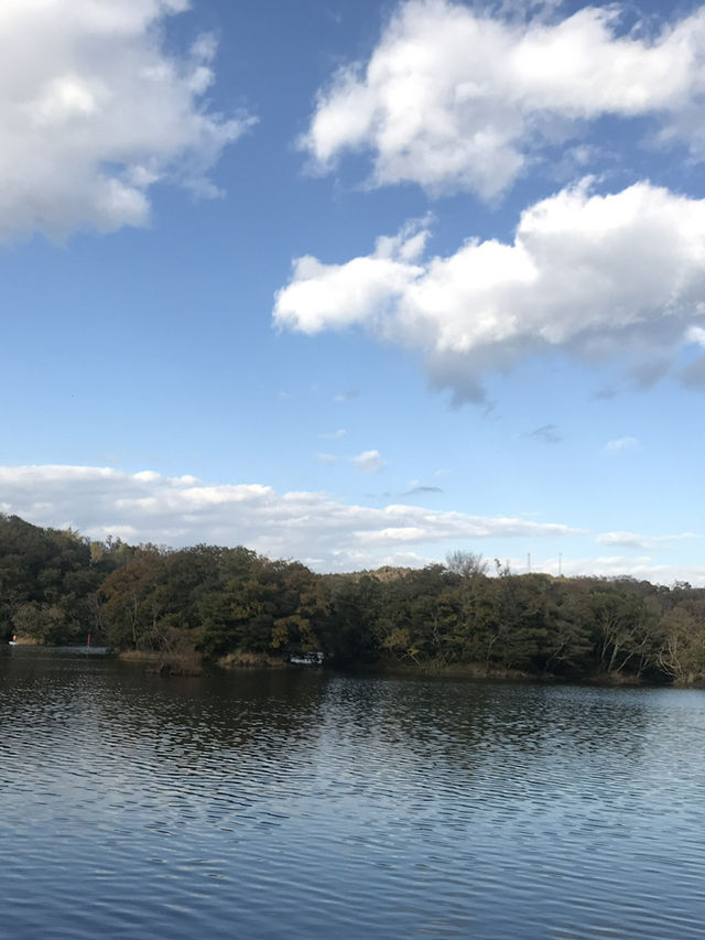 【静岡県　伊東市　一碧湖のゴールデンサンセット】