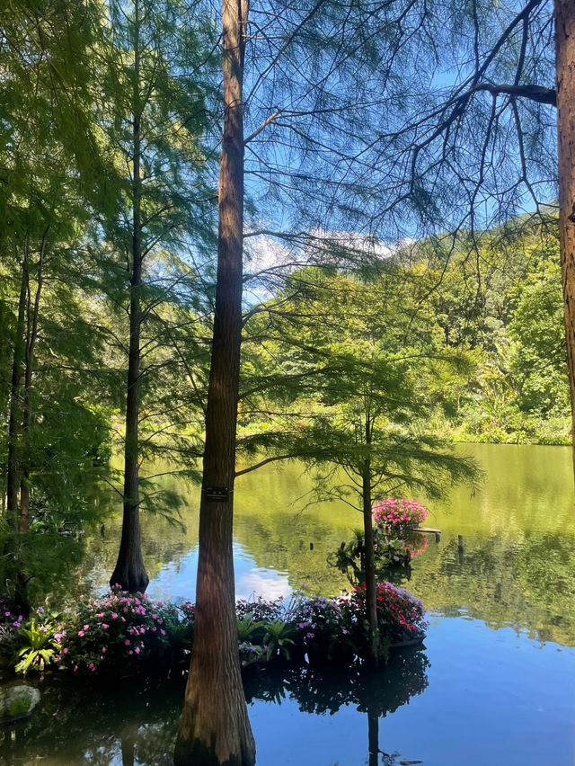 Fairy Lake Botanical Garden 🌺 🍃 